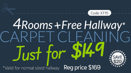 4 Rooms - Basic Steam Cleaning + Hallway, Only $149